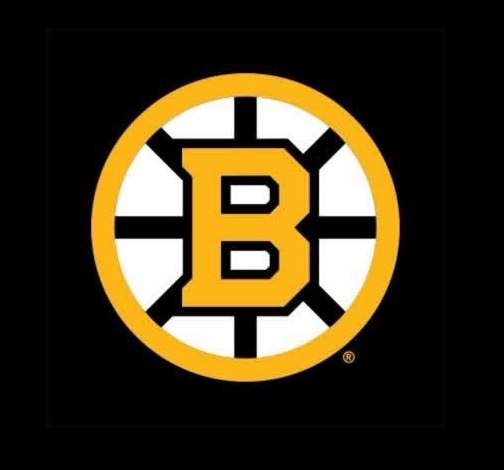Bruins Prospects Prepare for 2026-27 Season