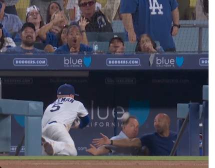 Freddie Freeman Day to Day After Scary Dugout Fall
